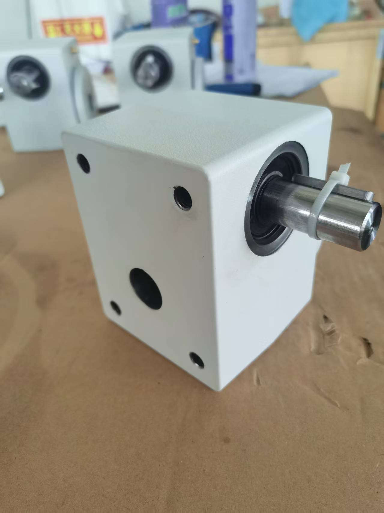 Custom Worm Gear Reducer Assembly 