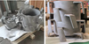 Rotor for Pulp Machine